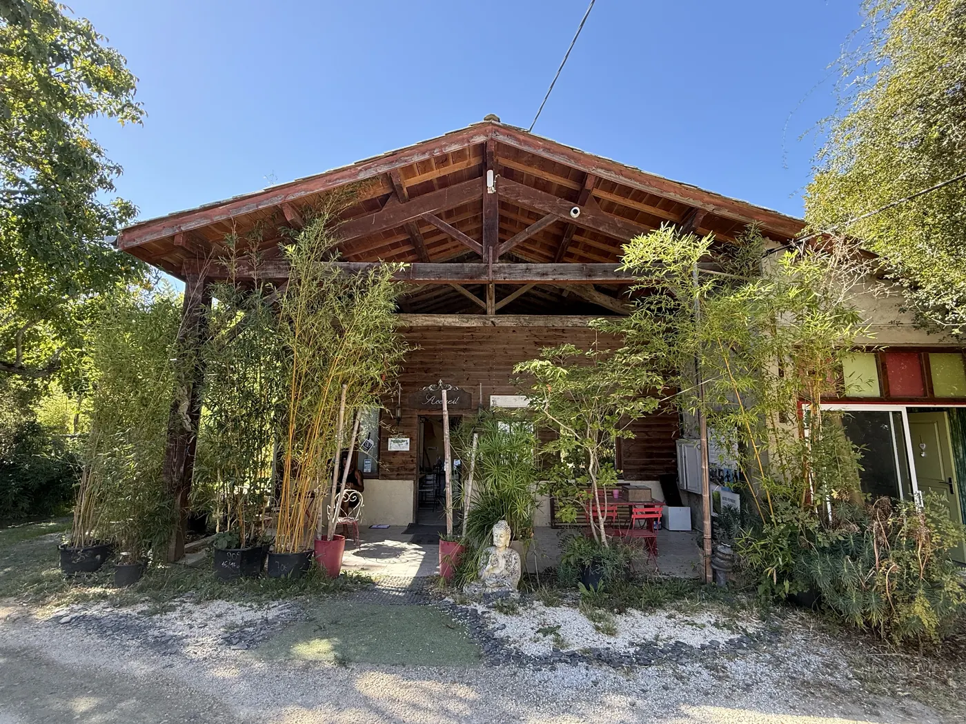 Bâtiment d'accueil en bois de Bambou Gers entouré de bambous à Monbrun
