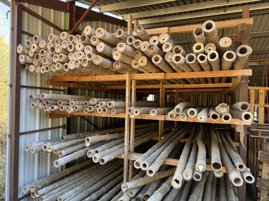 Racks de tiges de bambou de gros diamètre stockées sous hangar